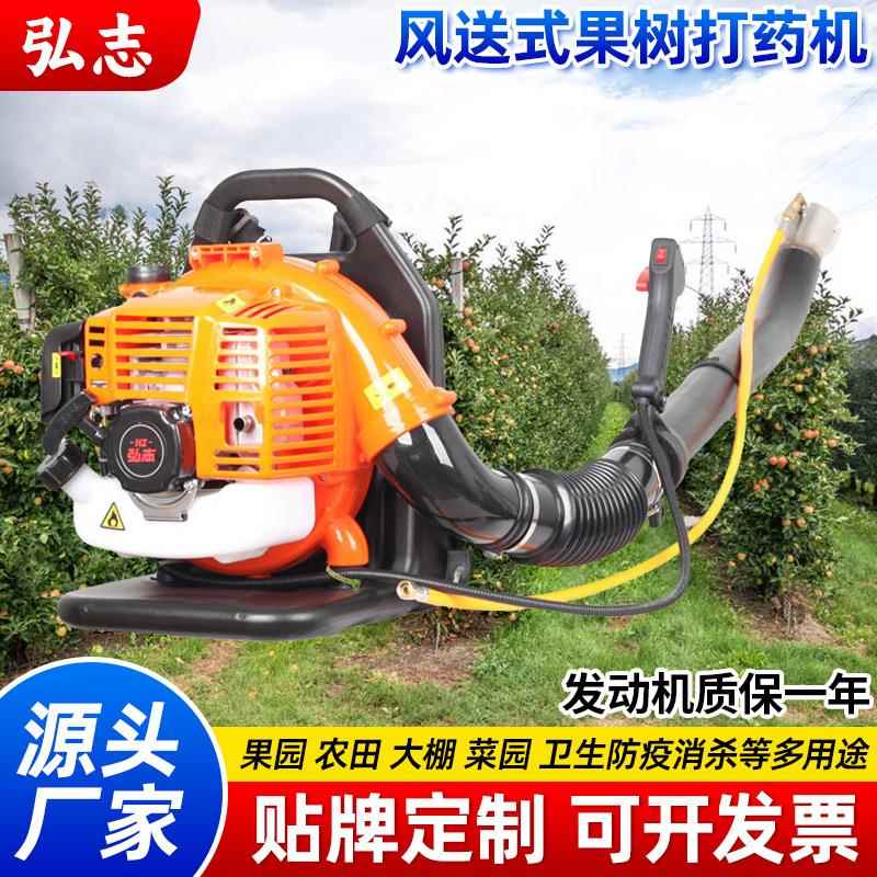 背负式喷雾机果树葡萄苹果柑橘打药机农用喷雾器农田施肥器汽油机