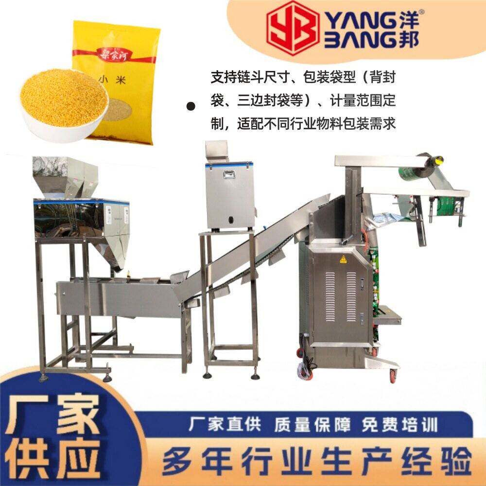 450LD链斗式包装机适用于薯片 薯条 饼干 水饺 火锅丸子等物料