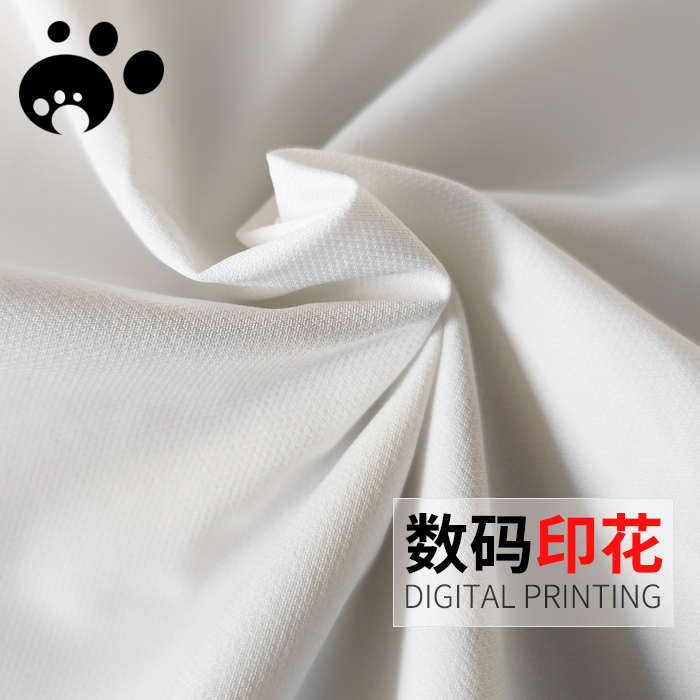 样卡168#无弹T800防水菠萝纹提花布羽绒服面料印花定制