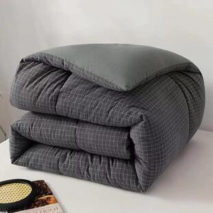 Comforter Bed All Bedding Blanket Duvet Insert Season Quilt