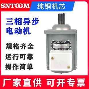 微型三相异步电动机B062Z微型电机YDT60液压推动器抱闸电机ASF82A