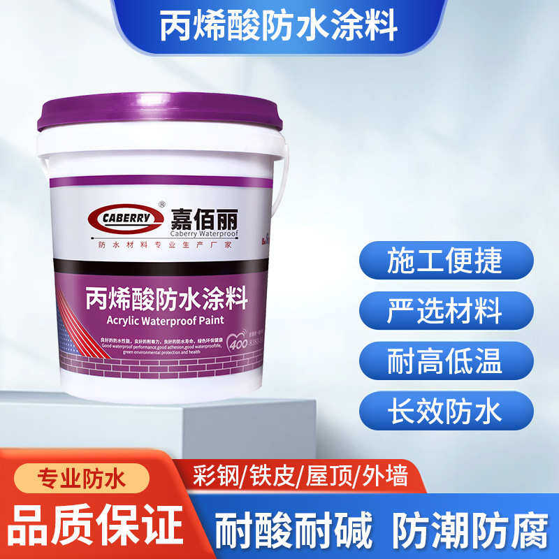 专业可出口CABERRY 水泥基屋面屋顶防水 墙面和地面外墙防水涂料