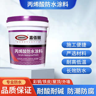 屋顶地面屋面 防水基墙面 和防水涂料水泥caberry专业可出口外墙