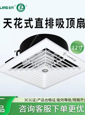 金羚排气扇12寸厨房卫生间换气扇吸顶式天花直排排风扇APT30-5-1
