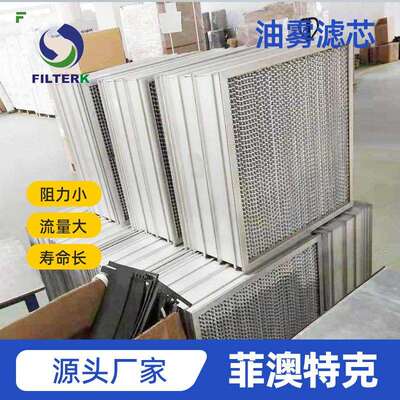 油雾滤芯 92110702 Filter stage1 S1/650 DB For Asmoke20