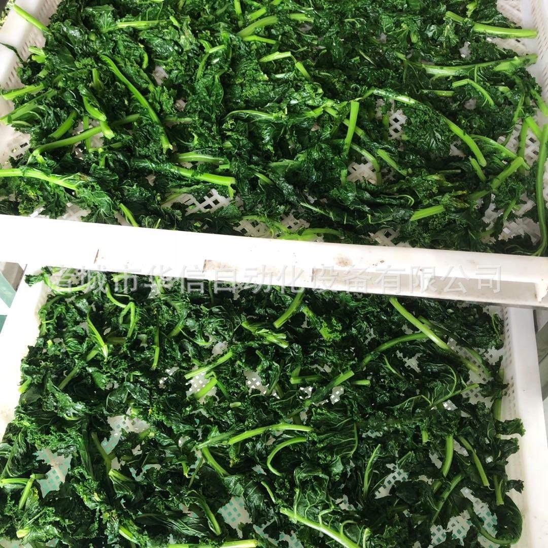 小型蔬菜烘干机商用全自动水果和蔬菜烘干设备 果蔬干燥机厂家