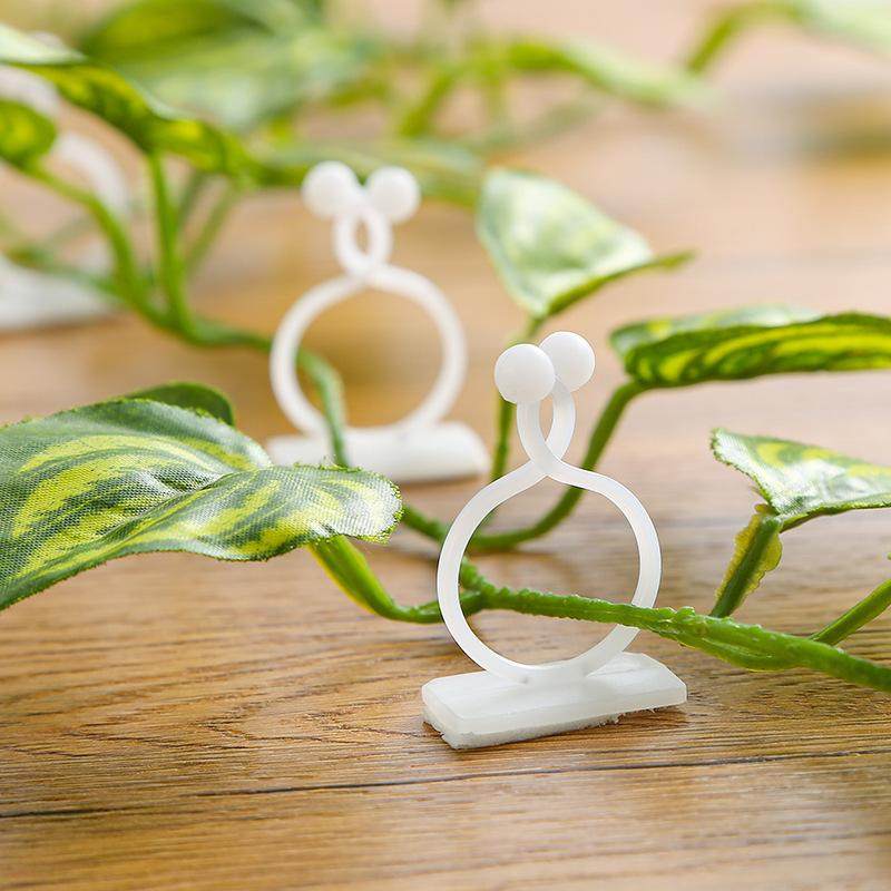 绿萝爬墙固定固定藤蔓双面贴物器