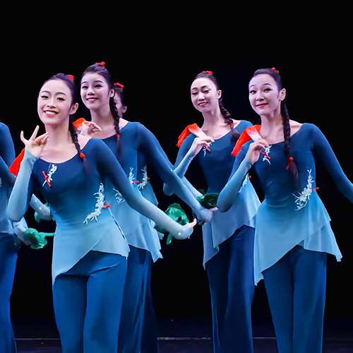 古典舞蹈演出服女胶州秧歌剧目表演服纱衣民族艺考飘逸练功服装
