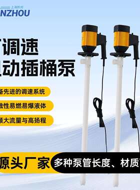 HD-E2-V+PPHT-700mmHP电动抽油泵220V加油泵插桶泵hd电动油桶泵