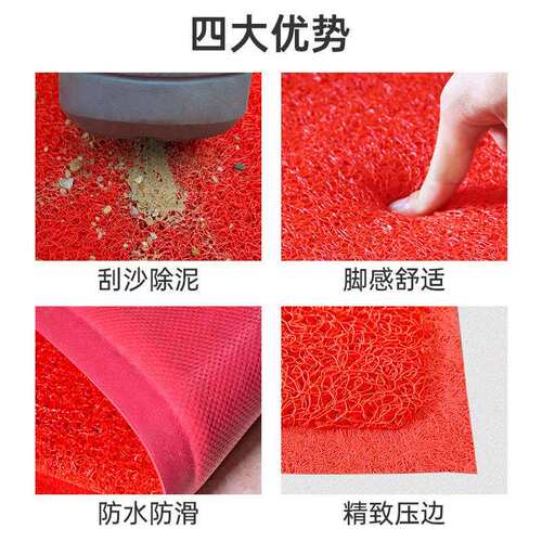 雅的进门入户门门垫 家用迎宾丝圈防水防滑平安吉祥地垫地毯