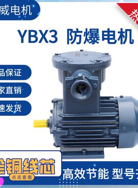 YB2/YB3 防爆三相异步马达YB3-90L-2 2.2KW/3/4KW 马达全铜380V