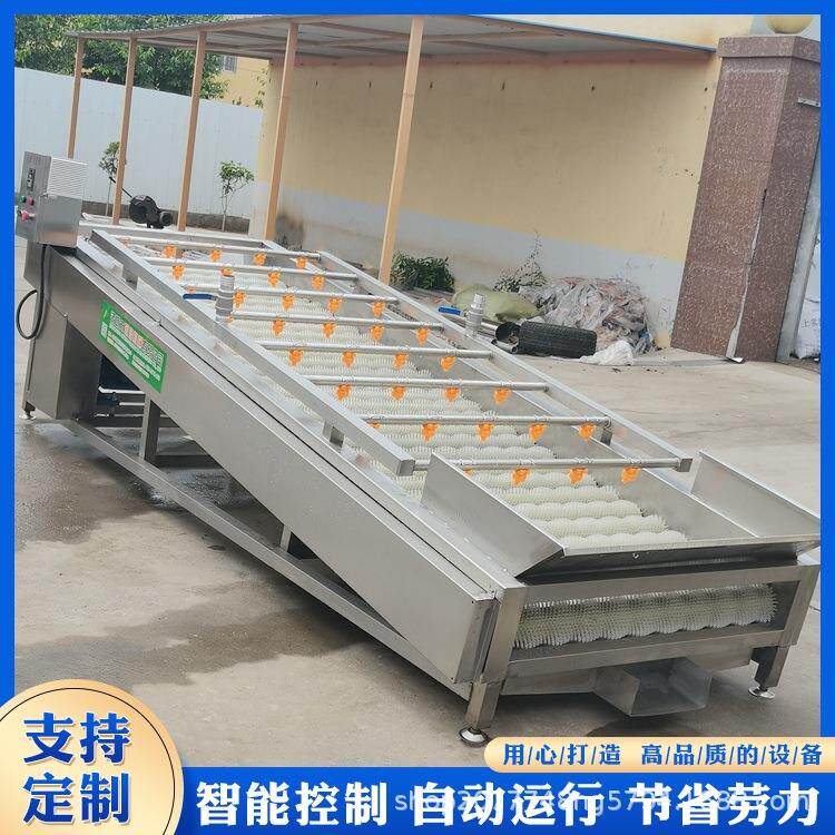 生蚝毛辊清洗机变频调速机械芒果清洗设备