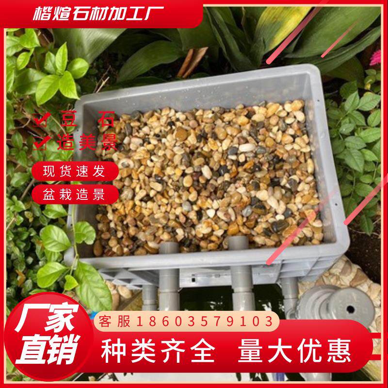 安徽天然豆石家装鹅卵石铺路地暖专用豆石找平回填石子滤料水处理