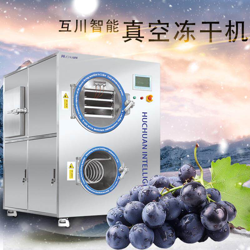 全自动松花蛋丁真空冻干机鹌鹑蛋宠物粮食真的很空冷冻干燥机