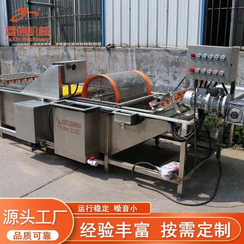 全自动气泡清洗机 水果蔬菜清洗机械 果蔬气泡清洗机净菜加工