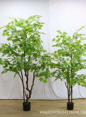 仿真枫树大型绿植绿枫树室内外庭院造景植物装饰摆放绿枫假树