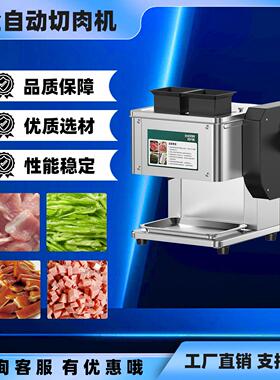 小型家用切肉机绞肉机切丝鲜肉切片机商用全自动不锈钢切菜肉片机