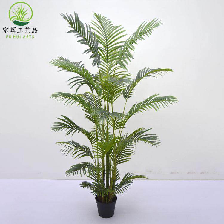 094仿真绿植散葵龟背竹绿尾植造景葵盆栽景地观装落饰摆件