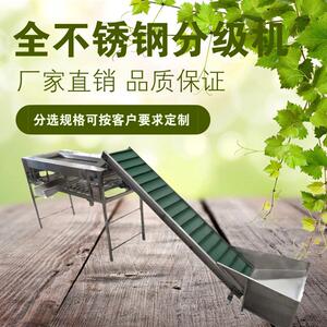 水果分级机土豆金桔樱桃芒果分选机果蔬选果机械