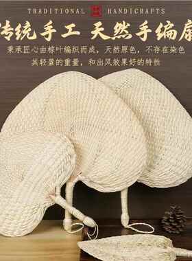 编扇子蒲SFD扇老式纯手工编织夏季驱蚊蕉扇藤扇芭老人葵夏天超大