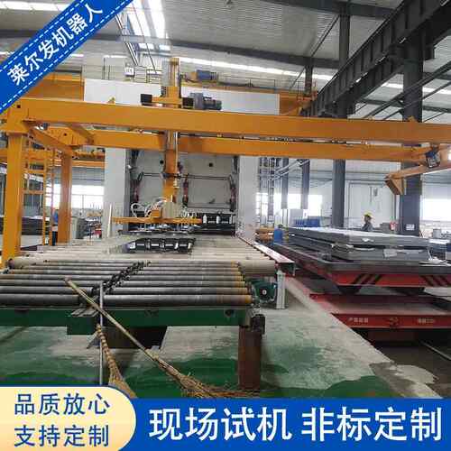 两轴门式桁架机械手桁架式机器人两轴自动化桁架机械手