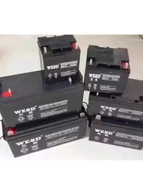 WESD无敌蓄电池12V7AH17AH20A24AH38AH65AH100AH直流屏UPS电源EPS