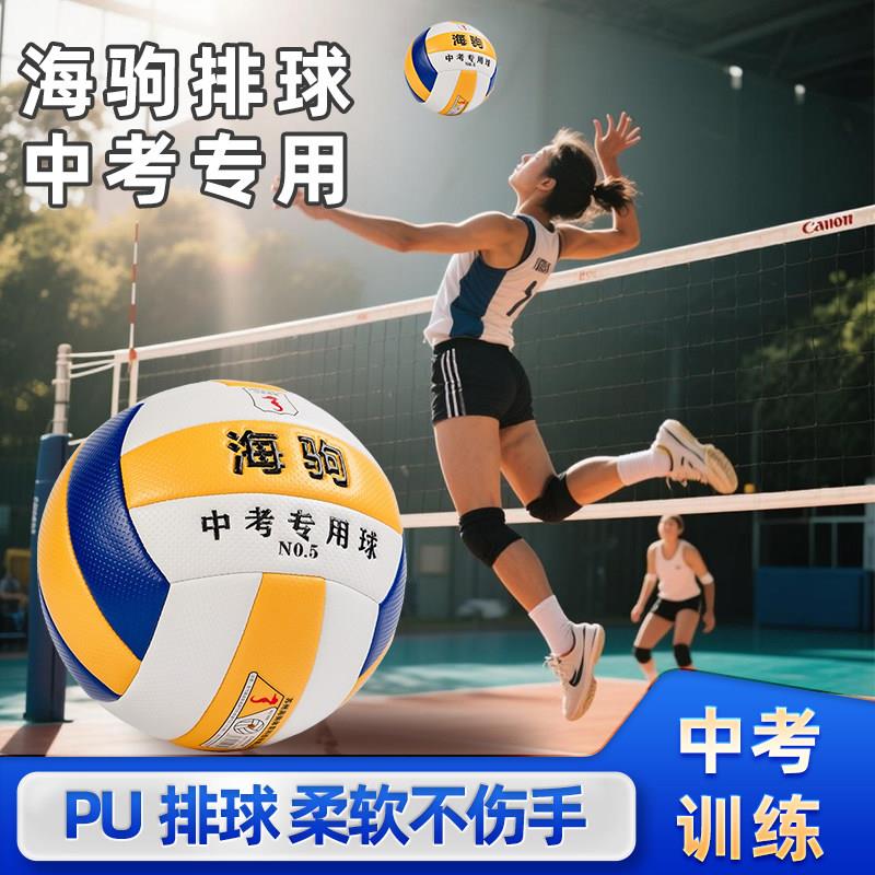 可刻姓名苏州海驹牌针纹5号 海驹1110A针纹气排球中学中考教学软