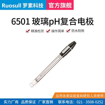 罗素6501型pH复合电极玻壳精密型传感器pH值测试探头65-1Q9