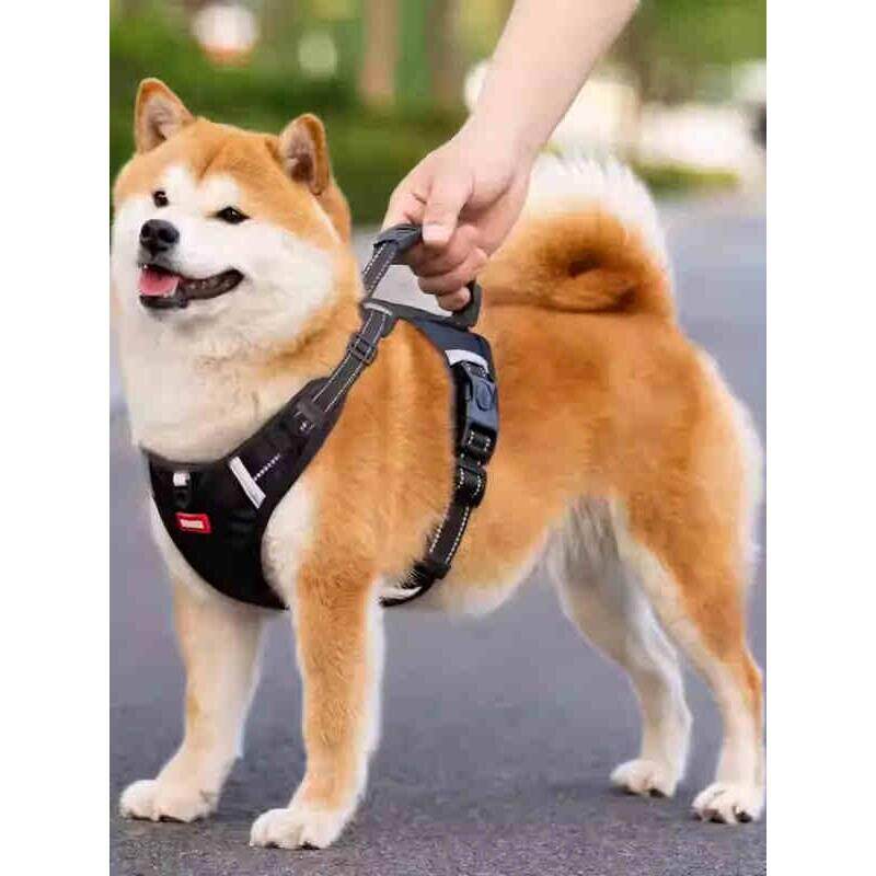 狗狗牵引绳胸背带遛狗绳子外出防挣脱柴犬中大型犬背心式狗链宠物