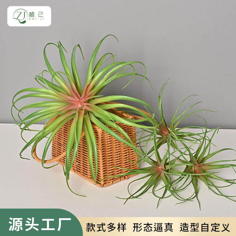仿真空气草绿植沙漠植物墙配材室内家居造景悬空顶藤木装饰花凤梨