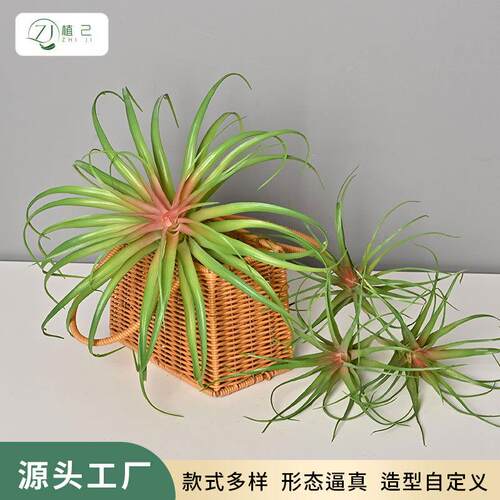 仿真空气草绿植沙漠植物墙配材室内家居造景悬空顶藤木装饰花凤梨