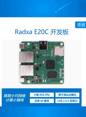 瑞莎E20C单板 开发板  网关终端  迷你网关 双千兆口网口