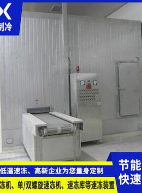 隧道式速冻机水饺汤圆豆沙包食品速冻机低温保鲜冷藏速冻设备