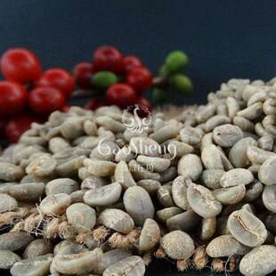 高晟庄园 A咖啡生豆 源产地工厂水洗阿拉比卡云南咖啡豆意式