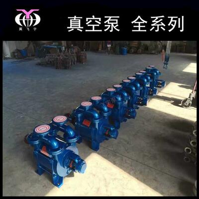 飞宇泵业 SZB SZ 2BV 水环式真空泵 真空提取真空浸渍真空蒸馏