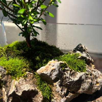 天空之城创意吸水石水族箱一石成景微景观鱼缸造景装饰桌面摆件