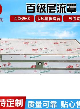厂家洁净百级层流罩高效空气过滤净化设备不锈钢百级层流罩