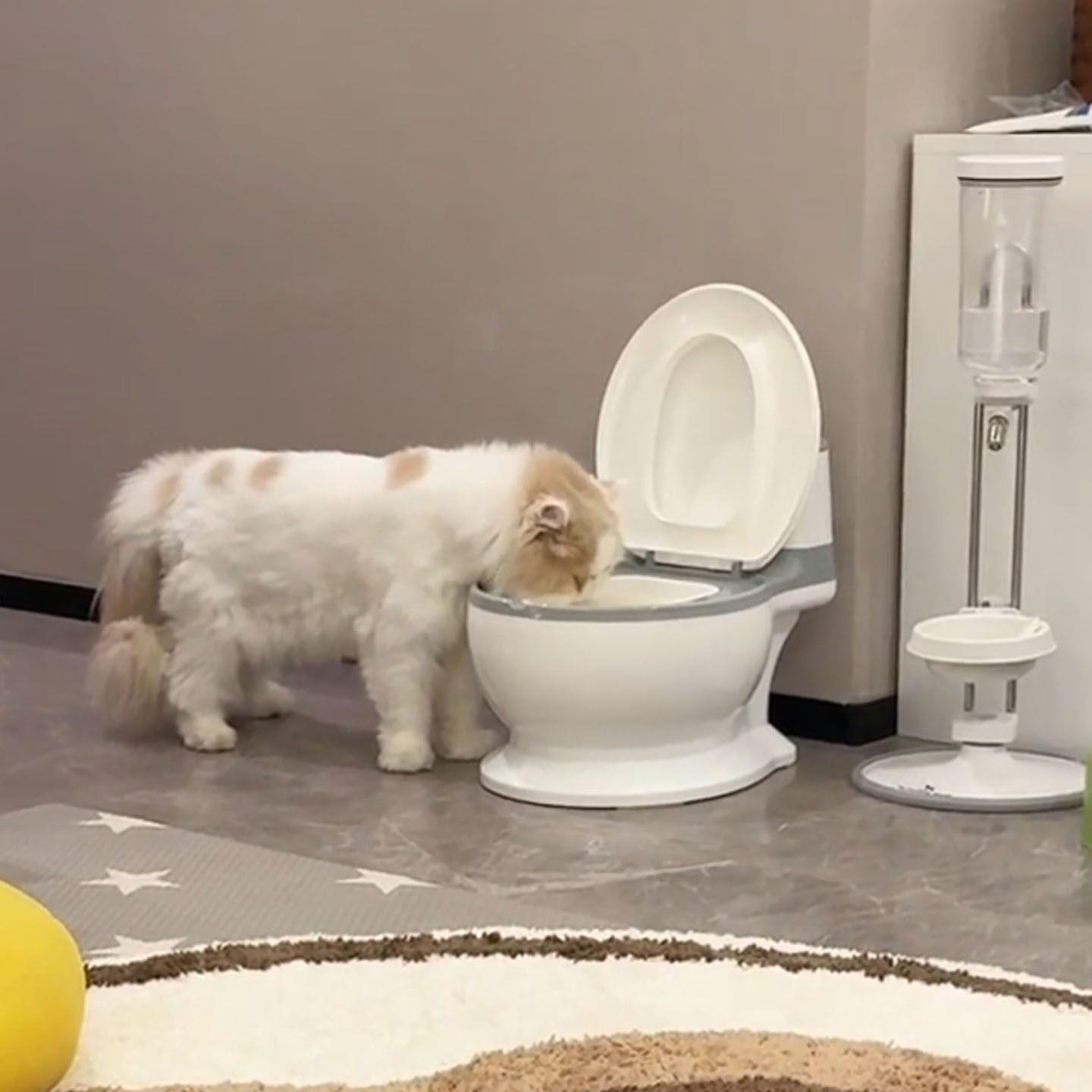 创意马桶猫碗大口径不易打翻宠物盆饮水器大容量仿真坐便器喝水