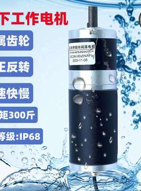 45行星IP68防水电机防尘防腐水下直流减速正反转调速快慢24V电机