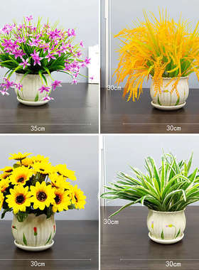 绿植盆栽室内花艺造景小植物客厅假花电视柜桌面卧室摆饰盆景