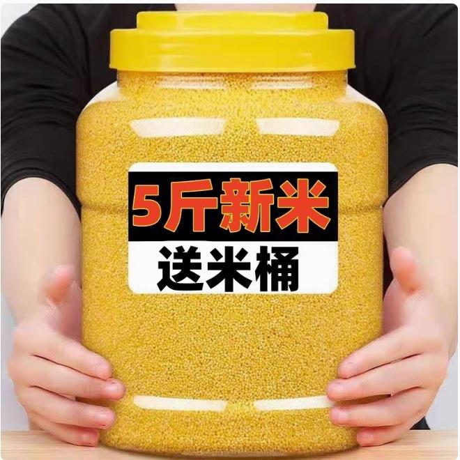 东北特产黄小米非5斤农家五谷杂粮小米新米散装金苗小米k1粗