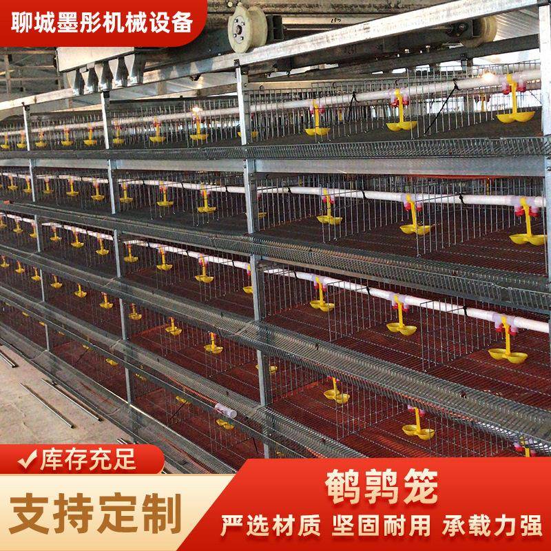 养殖场鹌鹑笼鹌鹑产蛋活鸟专业阶梯式全自动养殖设备来图定制笼子