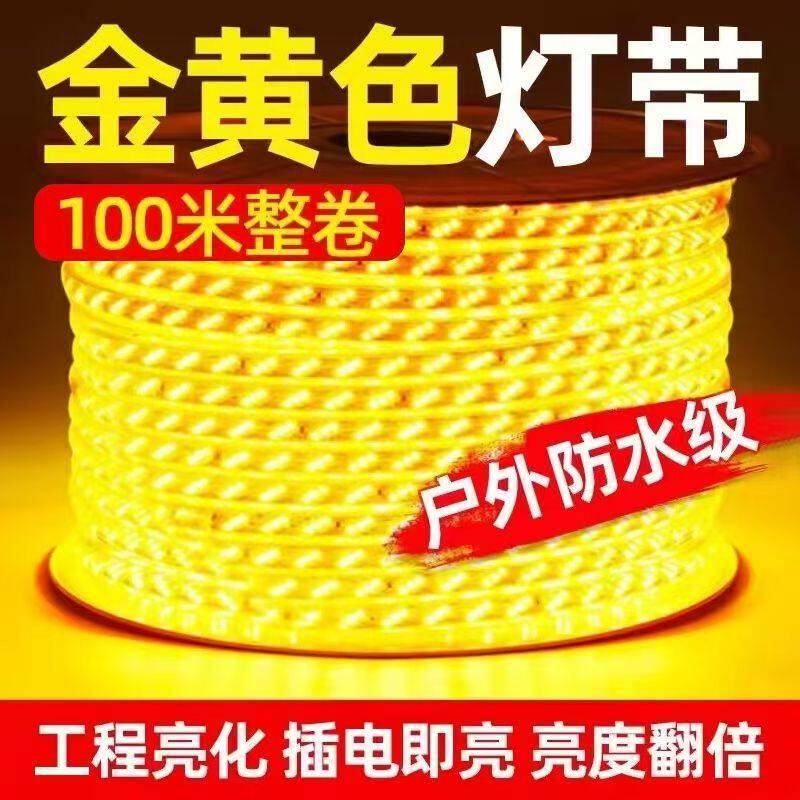 220v金黄光灯带超亮三排户外防水180背景室外氛围线灯条100米整卷