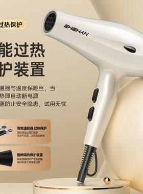 德国电吹风机家用大风力负离子护发静音速干理发店专用3000W风筒