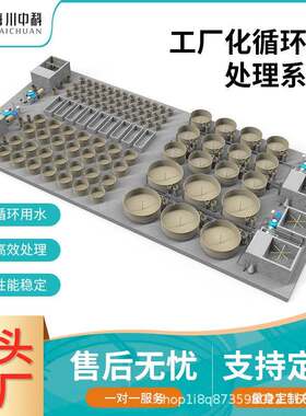 工厂化循环水产养殖水处理系统去除污水有害物质养殖罗非鱼鳜鱼虾