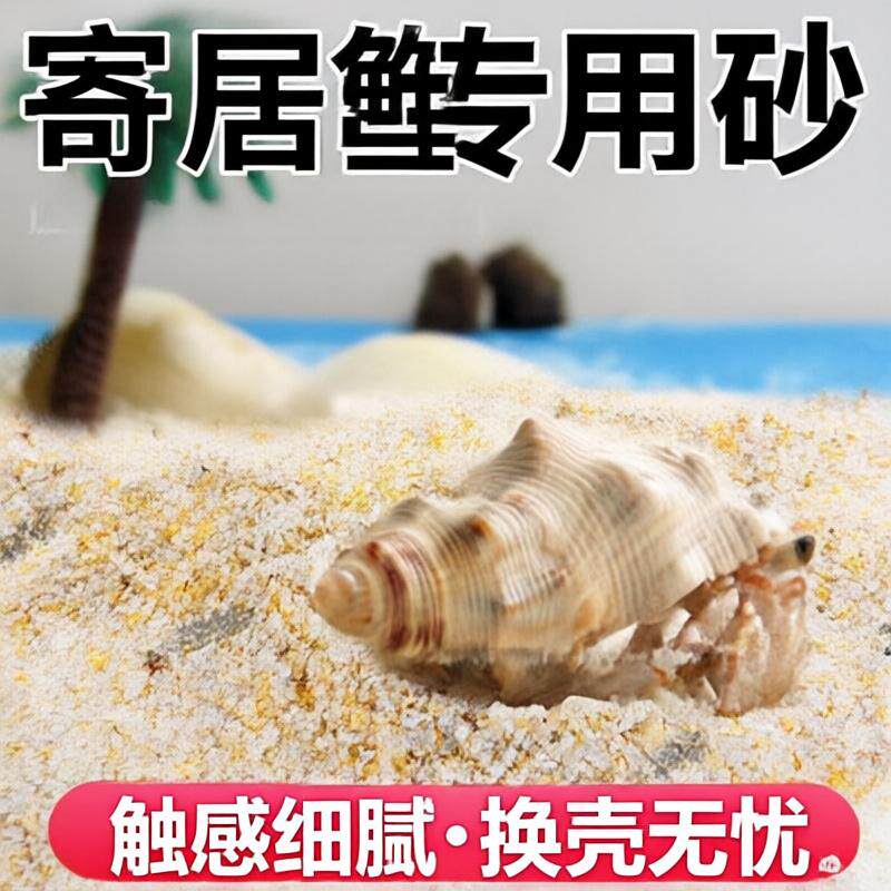 寄居蟹沙天然海沙专用水草装饰
