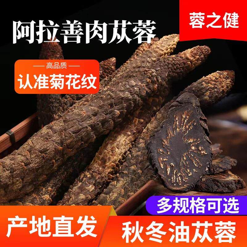 产地直发阿拉善肉苁蓉锁阳内蒙古整根切片零售秋季油苁蓉泡酒