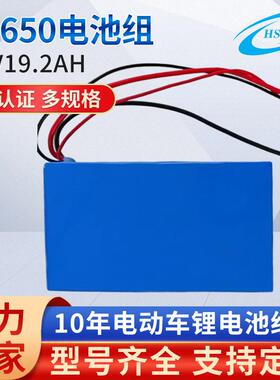 18650电池组48V19.2AH