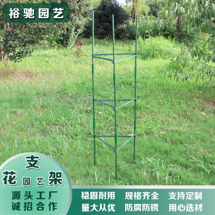 亚马逊黄瓜番茄植物生长支撑杆家庭园艺架用品种植爬藤架钢管花卉