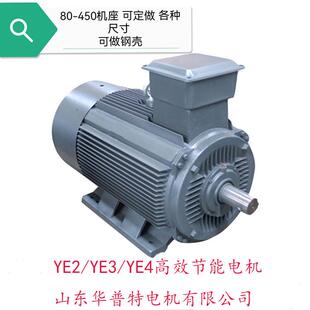 YE2YE3YE4高效节能电机75w132w出口朝鲜欧美200w185w